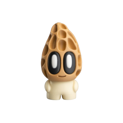 Morel